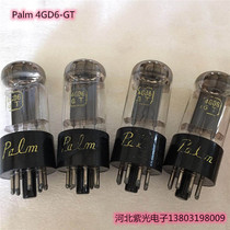 Palm 4GD6-GT tube