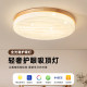 Solid Wood Bedroom Lamp Japanese-Style Natural Wood Style Starry Sky Round Cream-Style French-Style Children's Room Eye-Protecting Ceiling Lamp