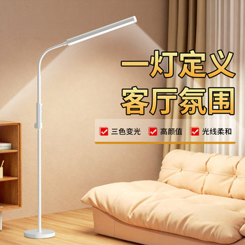 Living Room Floor Lamp Next to the Sofa, High-End Atmosphere, Beautiful Decoration, Supplementary Lighting, Light Luxury Corner, 2026 New Model