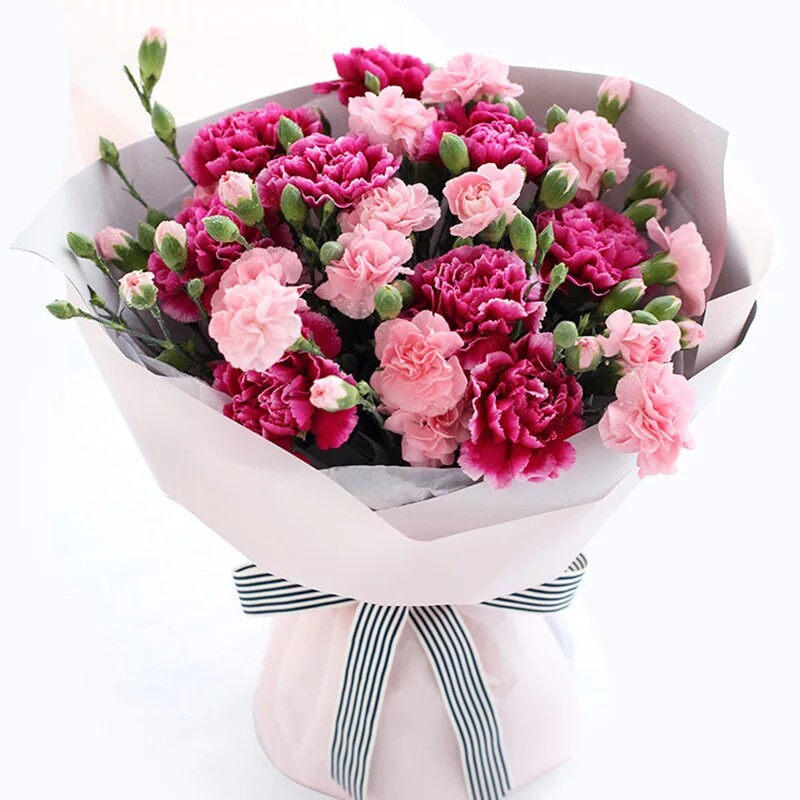 520 flowers Chengdu flowers express Carnation flowers Rose bouquet gift box City Xindu Pi County Shuangliu