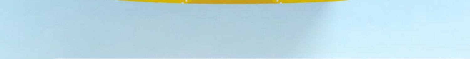 【中国直邮】 中闽飘香 冻干柠檬片无蜂蜜不加糖热冷泡水果茶50g/袋