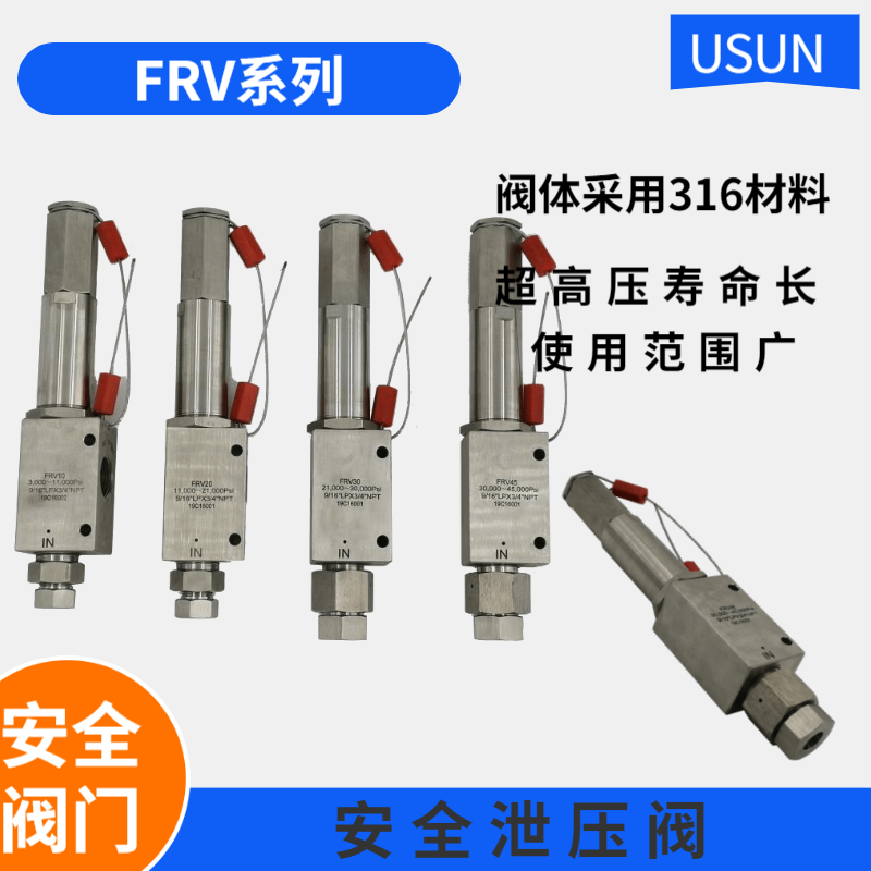 Hot Pin Stainless Steel Safe Deflated Valve FRV30 Adjustable Ultra High Pressure Safety Overflow Valve Pressure Overload Safety Valve