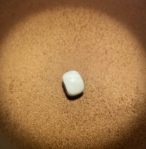 Tibetan Qing Dynasty old Dharma conch beads and old rosary beads accessories Tibetan Qing Dynasty old Dharma conch beads and old rosary beads accessories