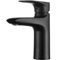 Amico basin hot and cold faucet black frosted wash basin household all copper