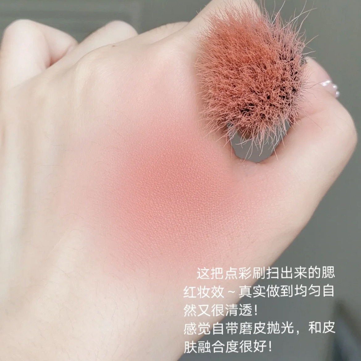 Brush out of the mother's good air color pure wool point color brushed blush brush clear through natural uniform make-up brush