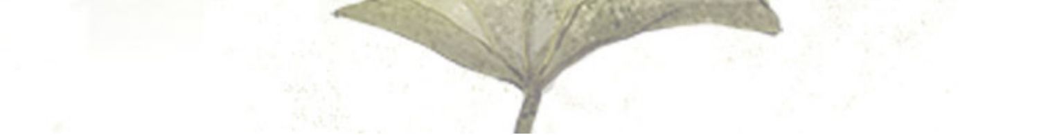 O1CN01qnbVg91Kq3dCalOts_!!68481214.jpg