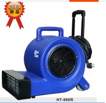 Haotian HT-900R Electric hair dryer Warm air Hot air hair dryer Carpet floor blow dryer