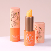 Music Flower lipstick moisturizing and moisturizing lipstick without color color lipstick students parity