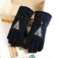 S8-Sports Big A Standard Blue