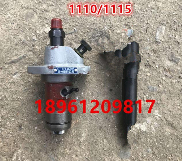 Changche ZS1100 1105 1110 Common 1115 Diesel Engine Oil Pump Assembly (original factory)