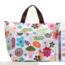 Summer Outdoor Picnic Lunch Ice Pack Lunch Box Lunch with insulated bag (with 1 ice bag)