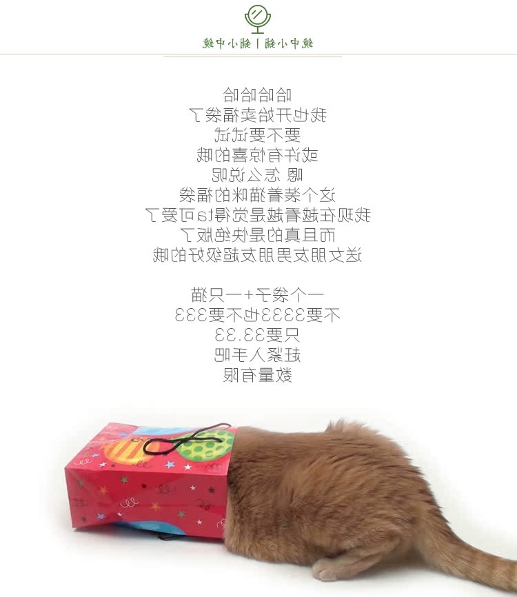  猫的福袋.jpg