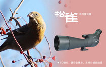 Bosma Monocular Telescope Lark 20-60×80 ED lens Birdwatching Mirror