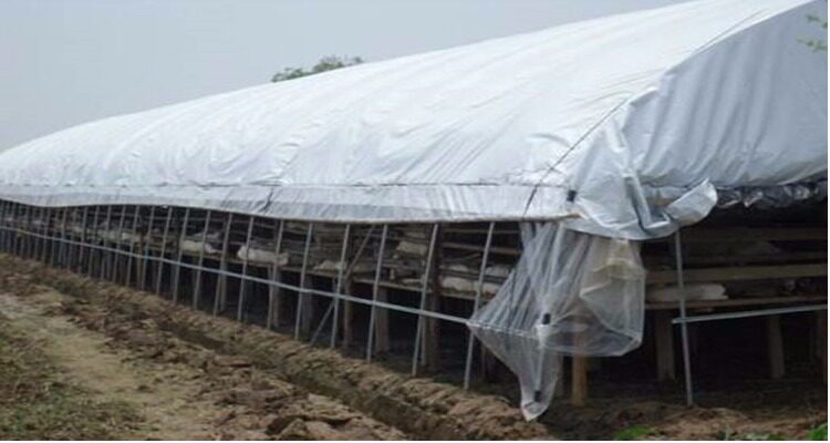 立冬把寒意关在窗外