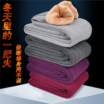 Autumn and winter new mens and womens velvet thickened warm pants high elastic thermal pants pure cotton cotton pants for the elderly high waist stretch pants