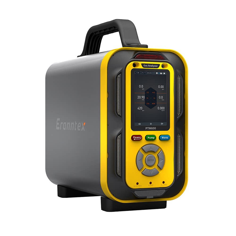 RQS6-Ex portable combustible gas analyser portable gas tester multifunction recorder explosion protection