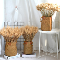 Seagrass woven straw handle flower basket flower arrangement vase contains wheat ear rabbit tail reed dried flowers non-rattan woven bamboo weaving