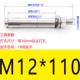 M12*110 (1)