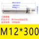 M12*300 (1)