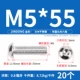 M5*55 (20 штук) 304