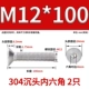 M12*100 (2) 304