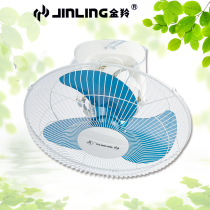 Golden Ling fan ceiling fan roof fan floor fan FB-40D FB-40DS iron leaf plastic leaf aluminum leaf 16 inch