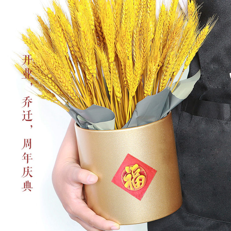 Dry Flower Wheat Natural Wheat Ears Open Flower Basket Fields Garden Wind Decoration Gifts Shooting Props Wheat Dried Flowers Genuine Flowers Flower Arrangements