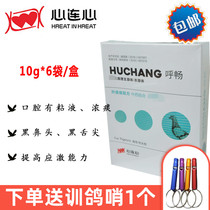  Heart-to-heart pigeon medicine(Hu Chang)powder 60 grams to clear the respiratory tract Chlamydia Hu throat cool black tip of the tongue thick sticky phlegm