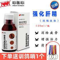  Heart-to-heart pigeon medicine strengthens liver essence concentrate liver essence pigeon supplies liver detoxification liver protection liver clearing and eyesight