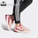 Tháng sáu ADIDAS cỏ ba lá Falcon nữ thể thao giản dị màu gradient giày cũ EF1964 / EG5648 - Dép / giày thường