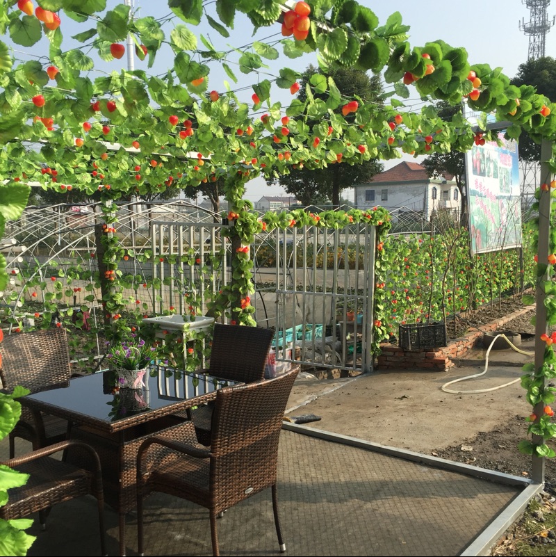 仿真水果藤条塑料绿植藤叶室内吊顶装饰葡萄串塑料壁挂假果蔬藤蔓