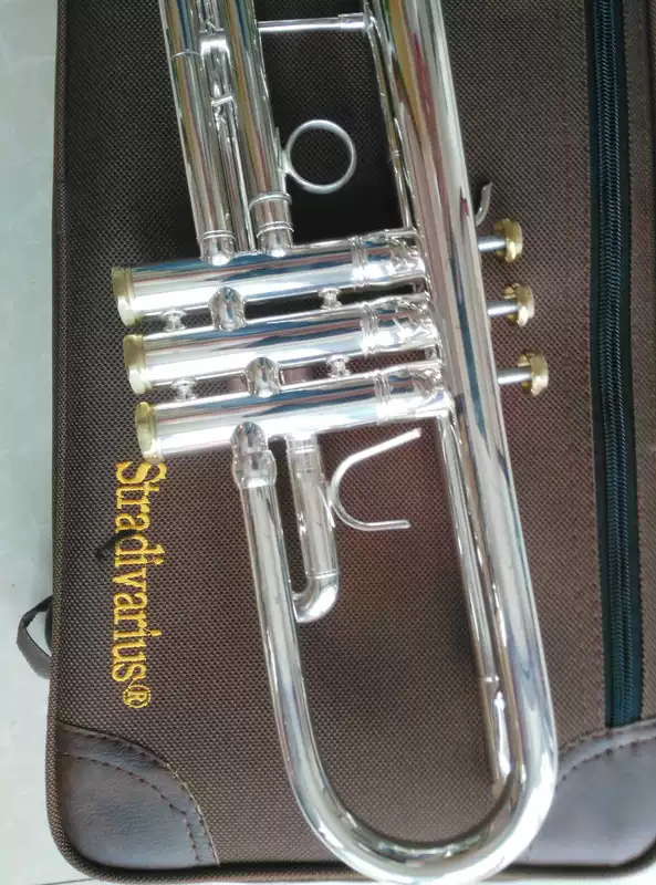 Chính hãng Baja Trumpet Mạ bạc Vàng Key Nhạc cụ phương Tây Triphone cao cấp