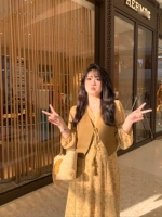 玳瑁 玳瑁 [Vests]