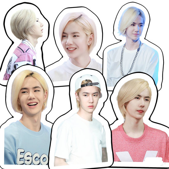 Bojun Yiqi Wang White Peony Stickers / Paper Patch Diy Luggage Decoration Sticker