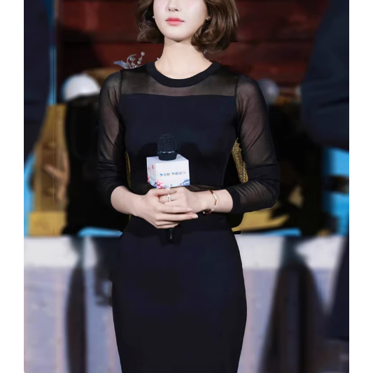 Zhao Lusi's Same Style Black Semi-Sheer Knit Dress for Women, Light Luxury Sexy Dress, Slim-Fitting Bodycon Long Dress