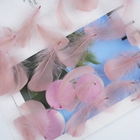 Около 100 порошка для пасты из фасоли