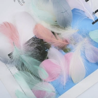 Morandi мелкий около 100 корней и 1 упаковка