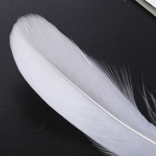 Цвет DIY BIG DIAO FEI FEAR MESSENCERS Свадебная одежда аксессуары мебель мебель