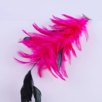 Одна из роз