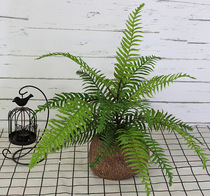 Emulated Persian leaf convulsion leaf silk flower plant wall decorative material green soft rubber leaf new product