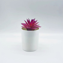 Simulation multi-meat small potted plant simulation Xuelian straight cylinder bonsai artificial flower small swing piece fake flower bonsai new stock source