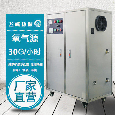 FG30g20g oxygen source ozone generator large ozone disinfection machine purified water mineral water treatment plant
