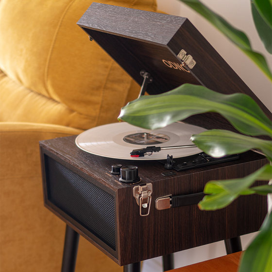 Otino Retro Gramophone Antique LP Vinyl Record Player Nordic Home Multifunctional Bluetooth Speaker