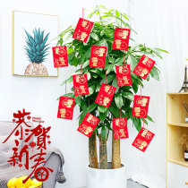 New year red bag decoration hanging tree red envelope creative small hanging decoration mall tree hanging plant pendant