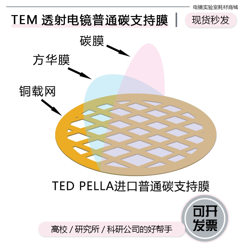 TED进口400目铜网普通碳膜TEM透射电镜载网支持膜电镜耗材