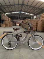 Electroplating 26inch