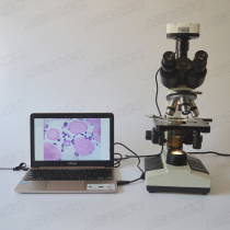 Video biological microscope digital biological microscope hospital pet hospital special microscope
