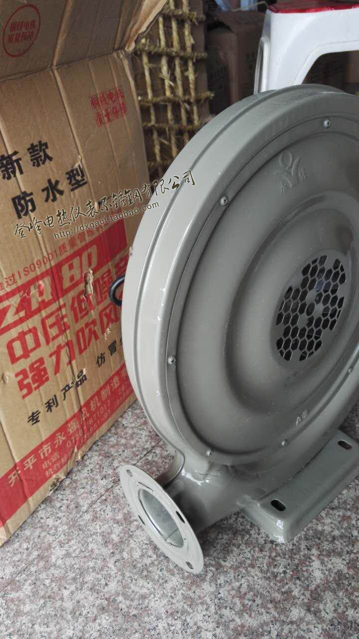 Waterproof blower 250W Kitchen Diesel Gas Cooker Medium Pressure Hairdryer Alcohol-based Fuel Stove Head 550w