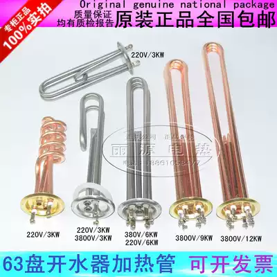 Liyuan electric heating 63mm water boiler heating pipe water heater heating pipe electric heating pipe 3KW 6KW 9KW 12KW