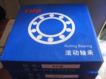 TMB Bearing Zhejiang Tianma Bearing NU2205EM 32505EH 25*52*18 Cylindrical Roller Bearing